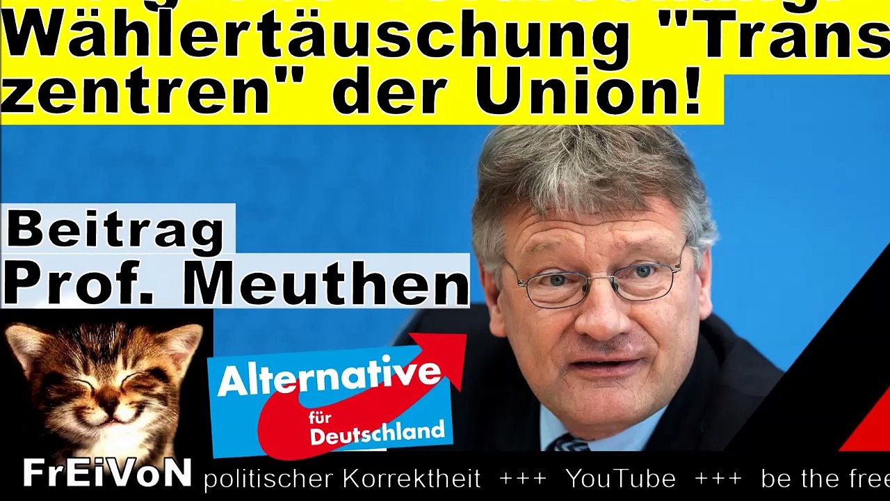 Die große verarschung! wählertäuschung transitzentren durch union! meuthen (afd) * hd