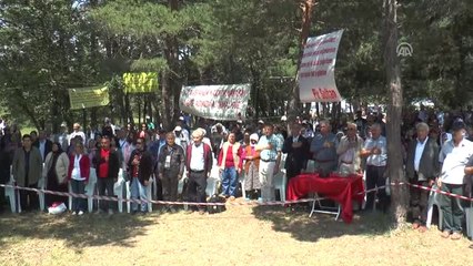 Pir Sultan Abdal 29. Kültür Etkinlikleri