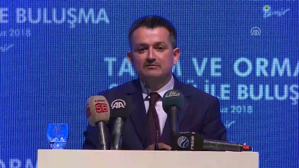 Tarım ve Orman Bakanı Pakdemirli: 'Devletimizin amacı piyasalara müdahale etmek değil ama tüketicileri korumak' - İZMİR