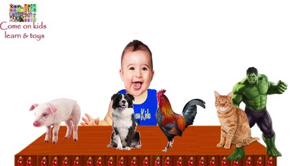 Funny Baby Learn Farm Animals for Children Farm Animals Name and Sound Nursery   Video For Kids