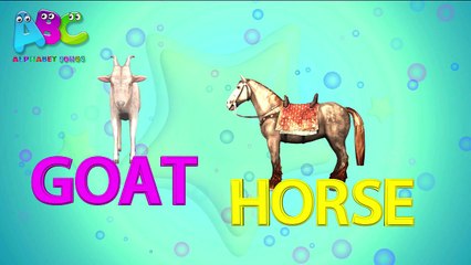 The Animal Alphabet ABC Song | ABC Animals Alphabet Song | 3D Nursery Rhyme