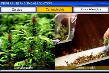 (8)CBSE Class 12 Biology, Human Health And Disease – 8, Drug Abuse and Smoke Addiction