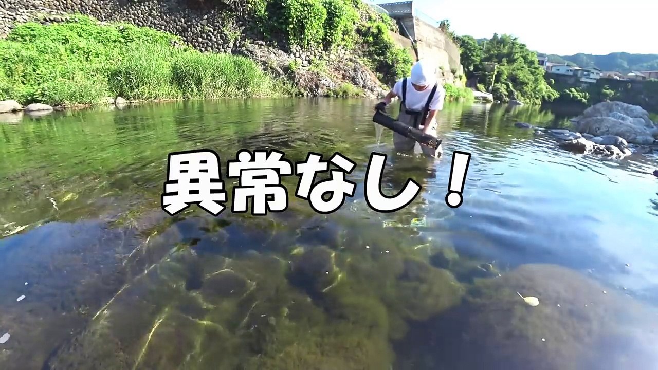 自作の仕掛けでウナギ捕りに挑戦！(4回目)