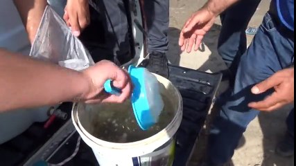 Yaylalardan Sonra Meralara da Huzur Geldi