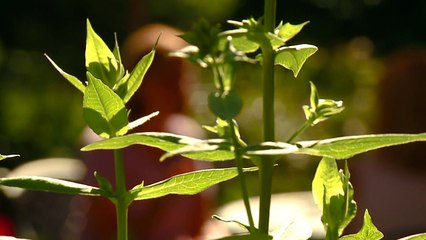 Suspected Road Rage Incident Ends in Serious Crash