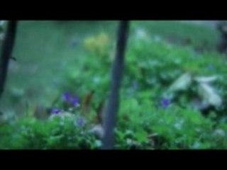 Test kit mini 35 avec objectif f1.4 50mm revuenon monture PK