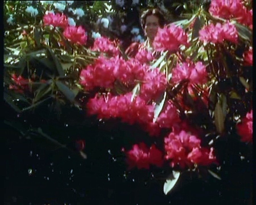 The Adventures of Sherlock Holmes  S05E02 - The Problem Of Thor Bridge