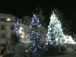 Bld Montaigne Sapins