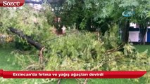 Erzincan’da fırtına ve yağış ağaçları devirdi