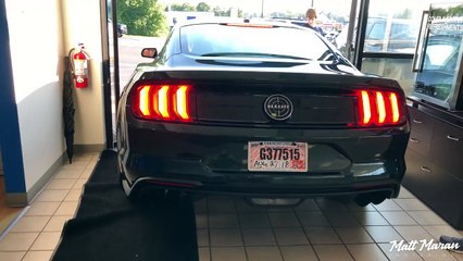 It's Here! Delivery and First Drive in MY 2019 Mustang Bullitt!