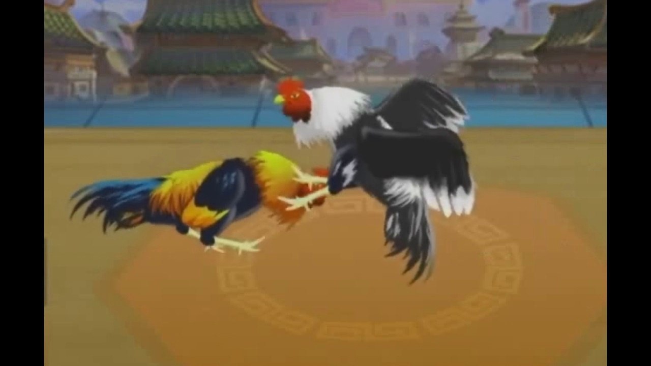 LES COQS - BULLY !!!