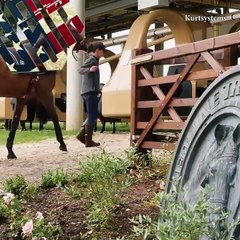 Viral in USA - Kurtsystems Revolutionary Hi-Tech Racehorse Pre-Training