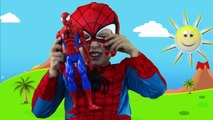 Itsy Bitsy Spider with Spiderman toys! Incy Wincy Spider-man
