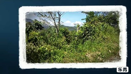 Orange Band - Kesepian Abadi