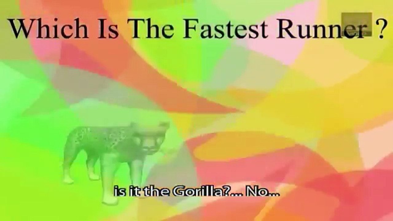 Learn About Animals - For Toddlers - Animal Song - Animal Song - Zoo Animals