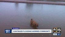 Continuous flooding worries Phoenix community