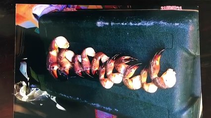 Do NOT Try This! Catching Stone Crabs by HAND!!