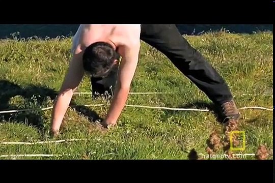 Empowering Puffins | National Geographic