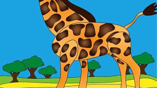 Meet the Giraffe - Animals at the Zoo - Learn the Sounds Zoo Animals Make