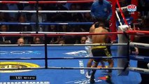 Manny Pacquiao vs. Lucas Matthysse