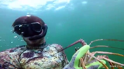 FOUND $100's on The Ocean Floor! Gold Mine While Diving for Lobsters!