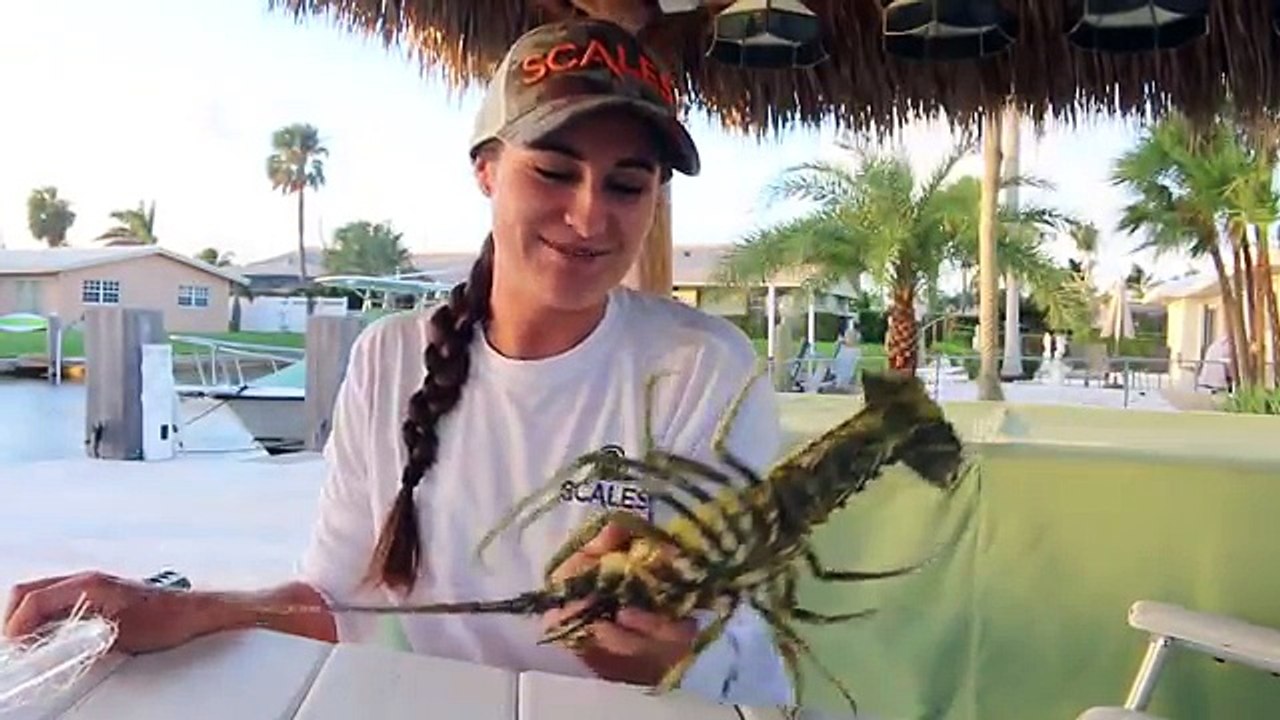 HOW TO Catch Lobster! All the SECRETS! Gear, Tips, Techniques!
