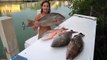 HUGE Mutton Snapper! Florida Keys Bottom Fishing