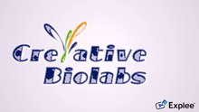antibody glycoengineering