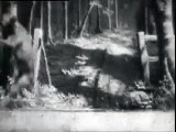 Laura Comstock's Bag-Punching Dog (1901) - Documentary/Short Film