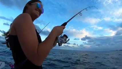 Download Video: Reef Snapper Fishing- Catch and Cook Yellowtail and Mangrove!