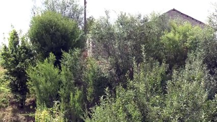 Van'da saldırı hazırlığındaki 2 terörist etkisiz hale getirildi