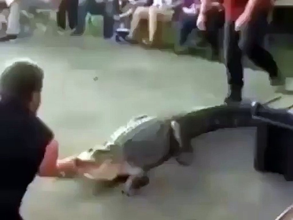 GATOR DONT PLAY NO SHIT