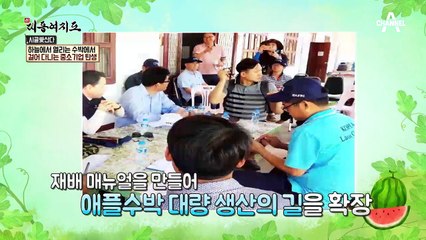 '애플 수박'하나로 연 매출 30억원! 걸어다디는 중소기업 된 남자?!