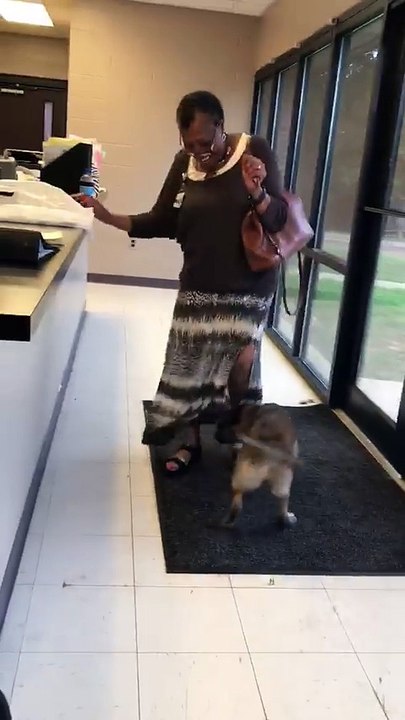 Cachorro perdido não consegue nem acreditar que está vendo seu dono novamente