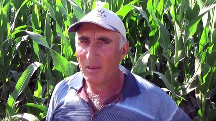 Konya'da obruk oluştu