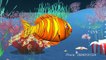 Machli jal ki rani hai - Fish 3D Animation Hindi Nursery rhymes for children ( Hindi Poem )