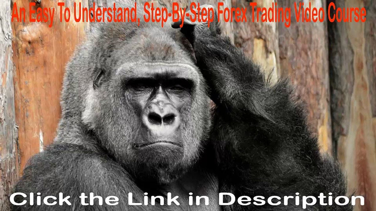 "I'd Recommend Your Course In The Blink Of An Eye"