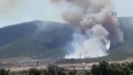 İzmir'de Orman Yangını... Söndürme Çalışmaları Devam Ediyor