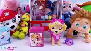Secret Life of Pets Paw Patrol Play the Claw Machine Game for Blind Box Toy Surprises Pretend Play
