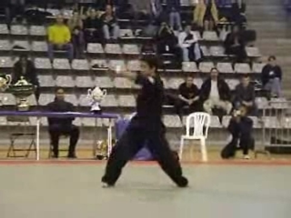 Amazingkungfu-kata hwoarang-techstyle