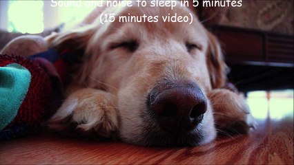 Sound and noise to sleep in 5 minutes (15 minutes video)