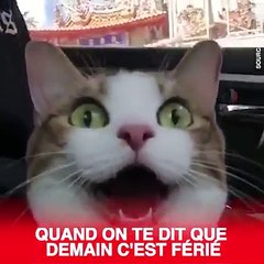 Quand on te dit que demain c'est férié  via Newsflare