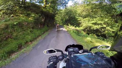 DECOUVERTE TROUBLANTE et RADAR AERIEN !