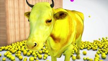 Learn Colors With Cows Animals W Learn Alphabet ABC Ball Colors Videos