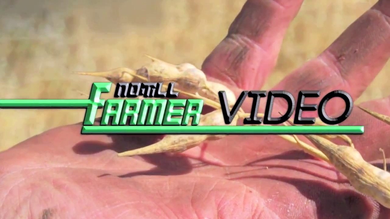 Twin Row Corn at Bear Creek Farms - Albemarle, N.C.