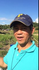 Rice and Duck farming program in Philippines