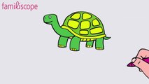 Apprendre à dessiner une tortue.