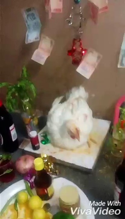 VID-20171228-WA0030