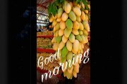 Best Good Morning Pictures Photos Greetings Wallpapers Images Pics Ecards Whatsapp Status 4