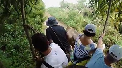 Partons ensemble pour une balade à remonter le temps, à bord d’une charrette à bœufs  entre champs de canne à sucre et patrimoine créole.  En savoir plus =>